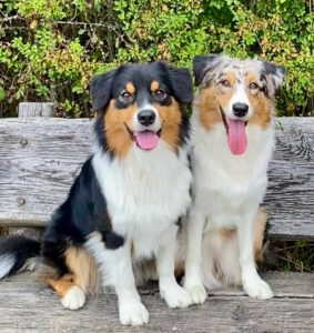 301CB440-9A1A-4002-A2FD-C9804289C71D