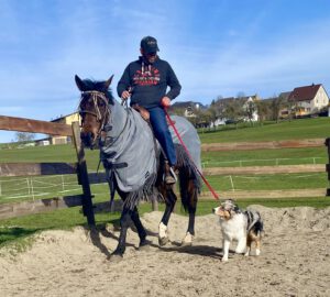 5e41ed0b-d44a-41ca-8d5d-894a05d61e08